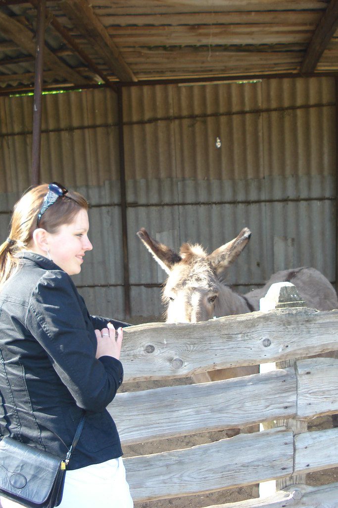Lietuvos Zoologijos Sodas: Gyvūnų Pasaulio Atrakcijos ir Išsaugojimo Misija